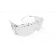 WORKER BEES VISITOR SAFETY GLASSES