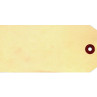 Blank Manila Tags
